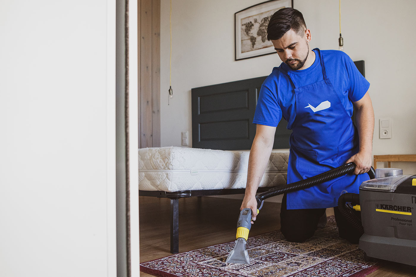 Wall-to-Wall Carpet Cleaning